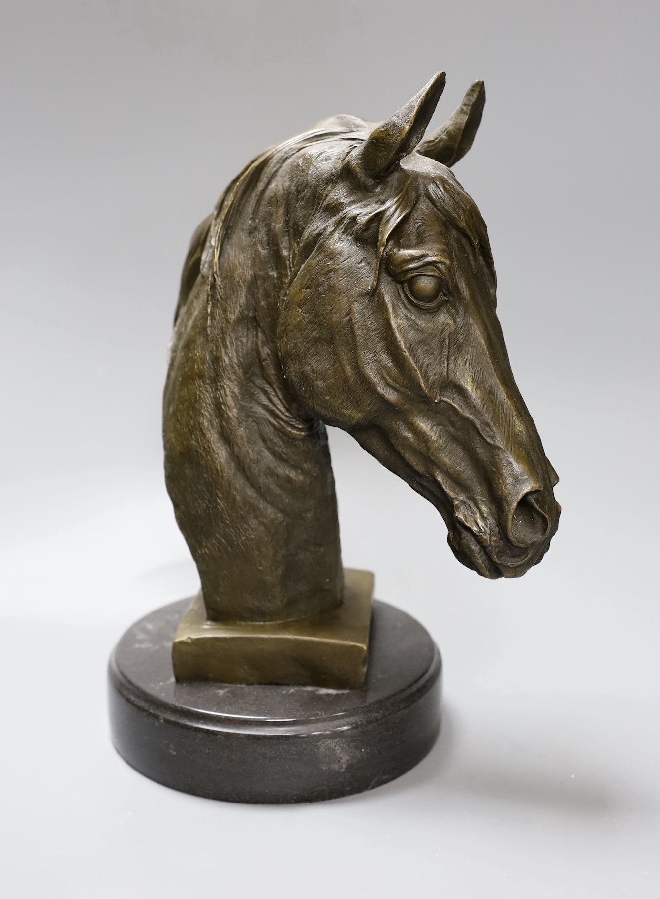 After Barye, a bronze of a horse's head on plinth base, 32cm tall